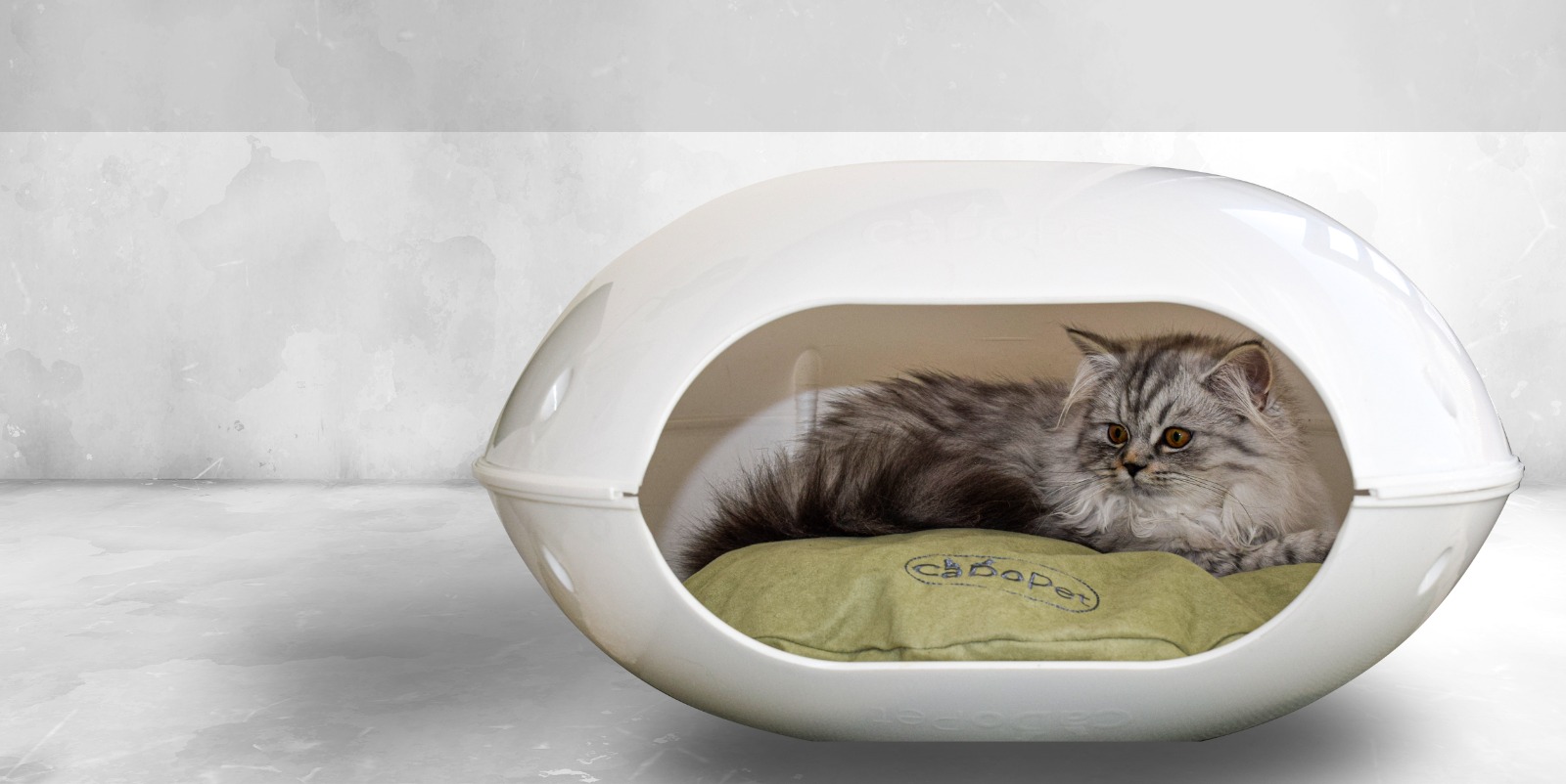 Cat House for Cats
